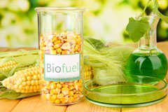 Priors Frome biofuel availability